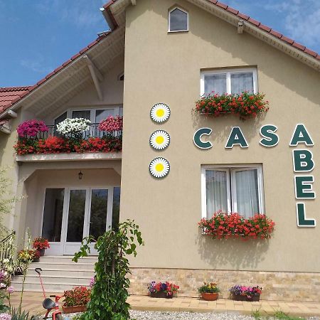 Hotel Pensiunea Abel Mihai Viteazu  Esterno foto