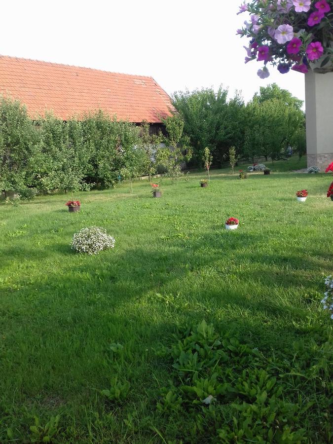 Hotel Pensiunea Abel Mihai Viteazu  Esterno foto