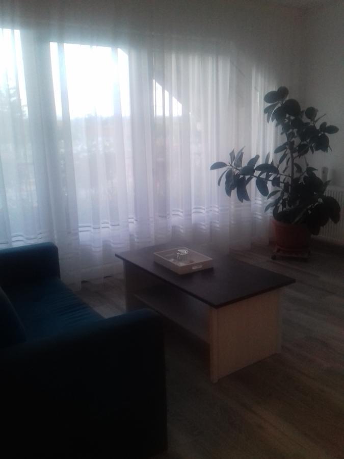 Hotel Pensiunea Abel Mihai Viteazu  Esterno foto