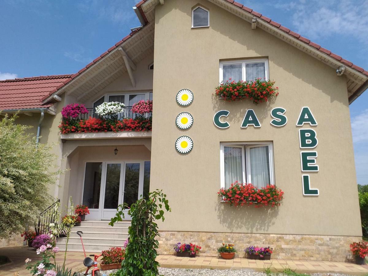 Hotel Pensiunea Abel Mihai Viteazu  Esterno foto
