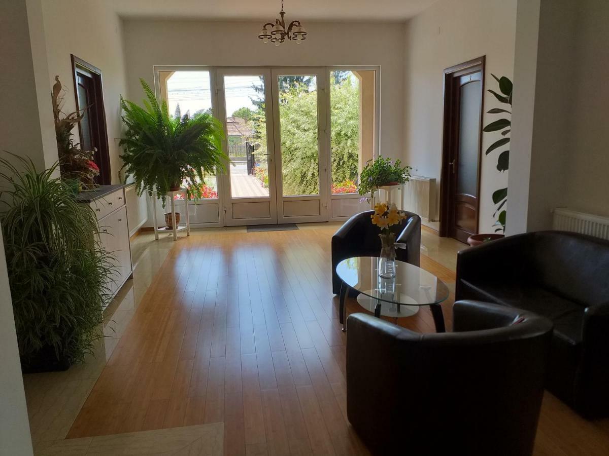 Hotel Pensiunea Abel Mihai Viteazu  Esterno foto